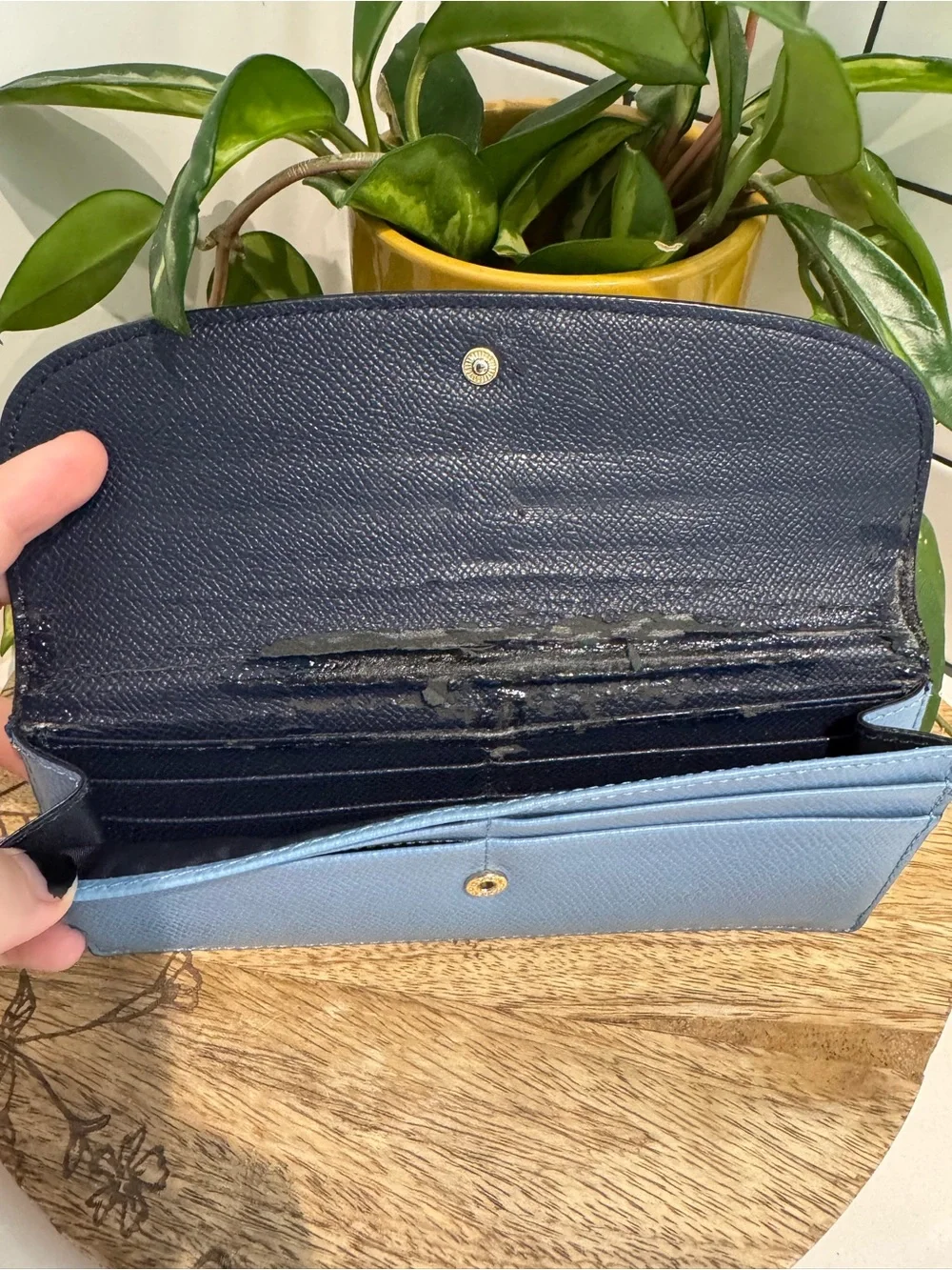 Coach continental wallet